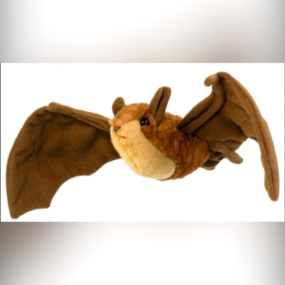 Conservation Critters Little Brown Bat